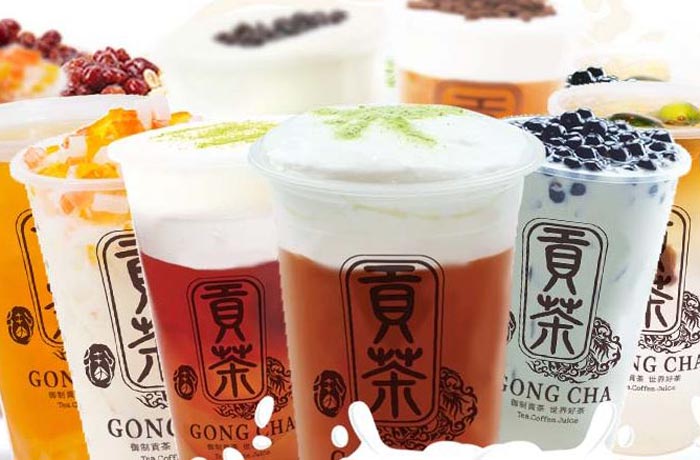 加茂镇贡茶培训